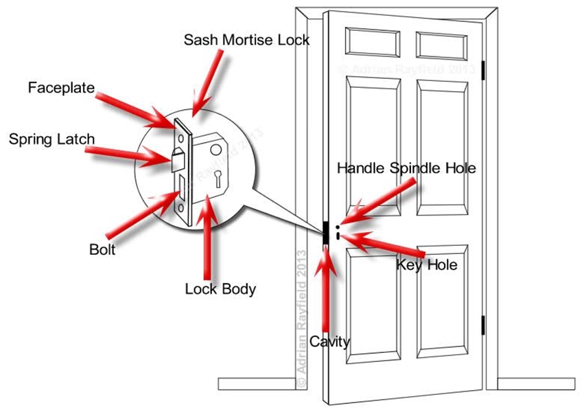 Specialist Mortice Sash Door Lock Mortice Sash 3 Lever Brass Plated 2 1